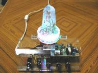 �ʐ^�������I