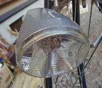 �ʐ^�������I