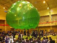 �ʐ^�������I