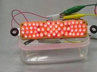 �ʐ^�������I