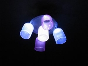 �ʐ^�������I